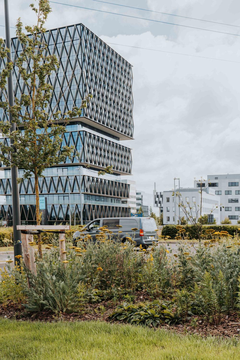 Bedrijfstuinen